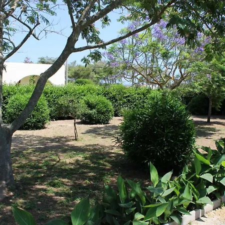 Vakantiehuis Casa Blu Sant'Andrea (Apulia)